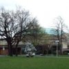 2006_0411beethovenhalle0057